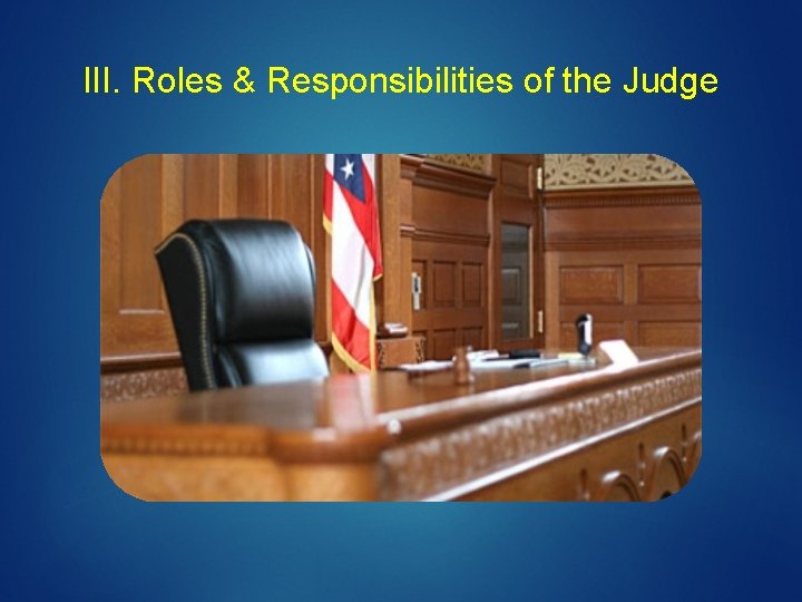 III. Roles & Responsibilities of the Judge 