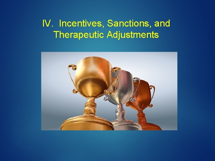 IV. Incentives, Sanctions, and Therapeutic Adjustments 