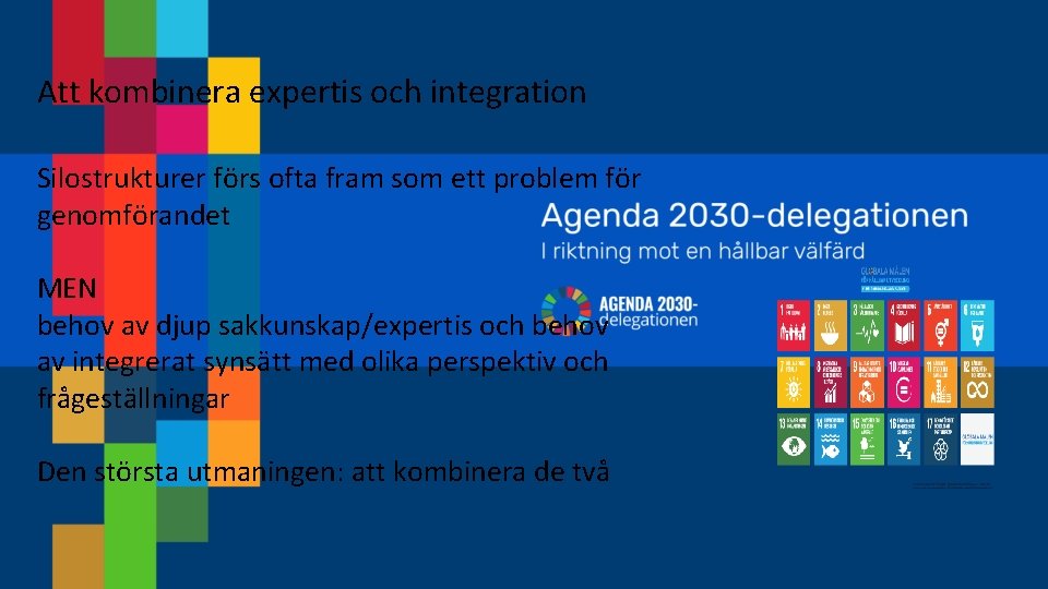 Att kombinera expertis och integration Silostrukturer förs ofta fram som ett problem för genomförandet