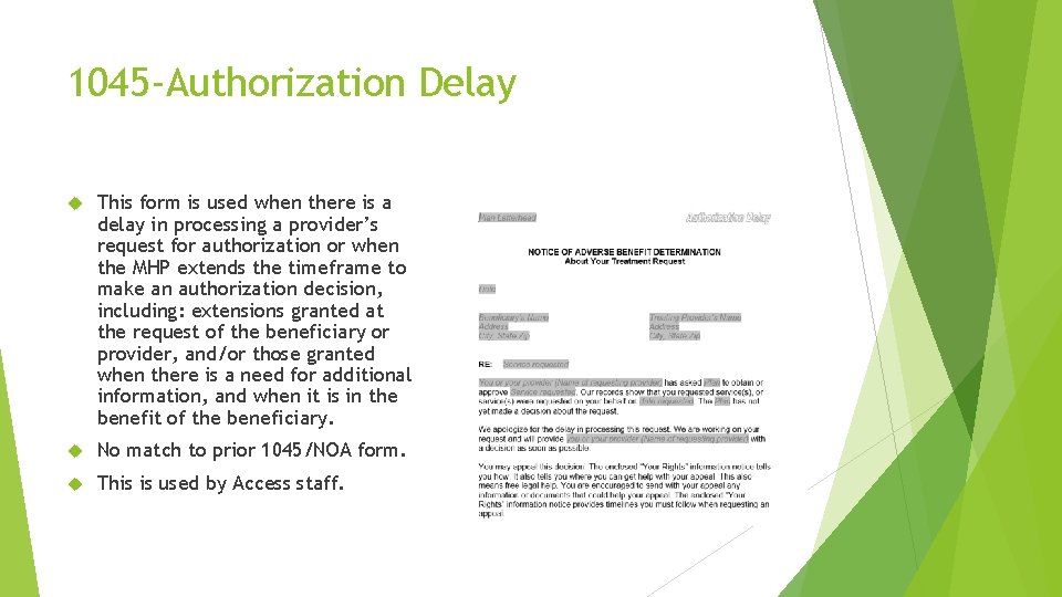 1045 -Authorization Delay This form is used when there is a delay in processing