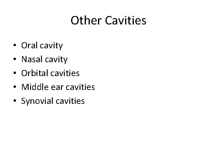 Other Cavities • • • Oral cavity Nasal cavity Orbital cavities Middle ear cavities
