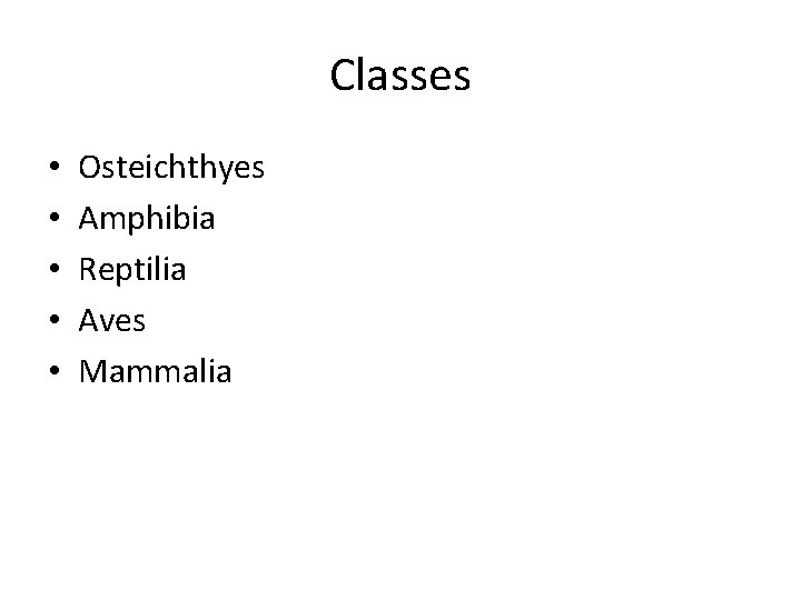 Classes • • • Osteichthyes Amphibia Reptilia Aves Mammalia 