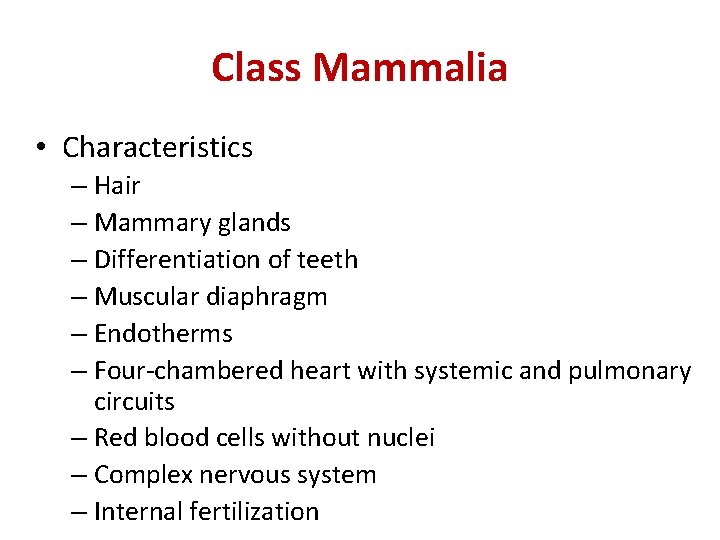 Class Mammalia • Characteristics – Hair – Mammary glands – Differentiation of teeth –