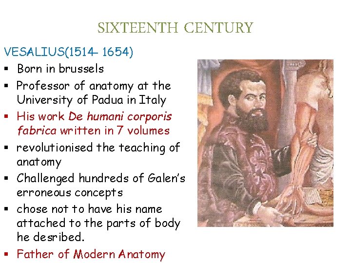 SIXTEENTH CENTURY VESALIUS(1514 - 1654) § Born in brussels § Professor of anatomy at