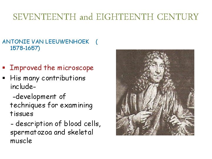 SEVENTEENTH and EIGHTEENTH CENTURY ANTONIE VAN LEEUWENHOEK 1578 -1657) ( § Improved the microscope