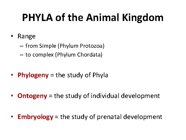PHYLA of the Animal Kingdom • Range – from Simple (Phylum Protozoa) – to