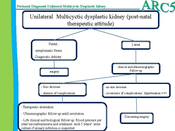 Perinatal Diagnosed Unilateral Multicyctic Dysplastic kidney Unilateral Multicyctic dysplastic kidney (post-natal therapeutic attitude) Patent