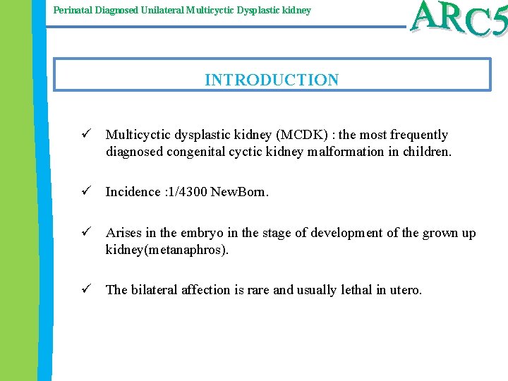 Perinatal Diagnosed Unilateral Multicyctic Dysplastic kidney INTRODUCTION ü Multicyctic dysplastic kidney (MCDK) : the