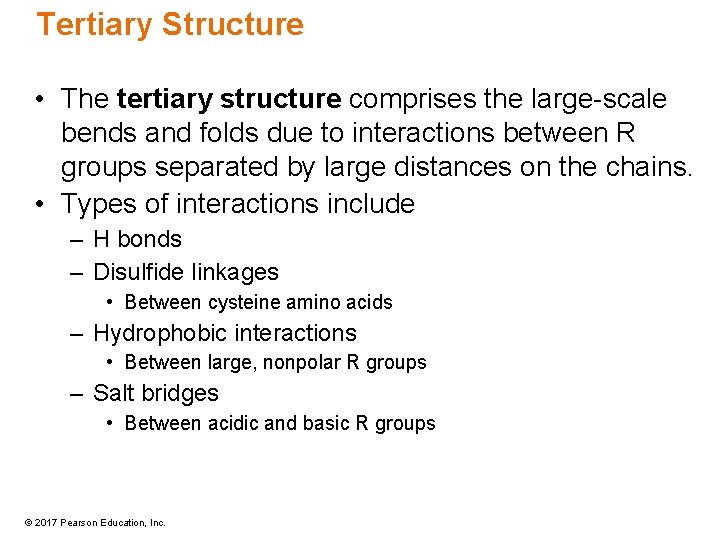 Tertiary Structure • The tertiary structure comprises the large-scale bends and folds due to