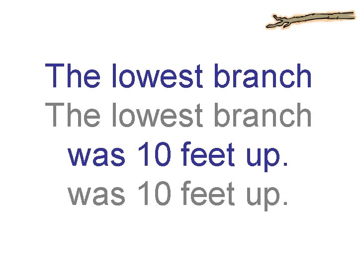 The lowest branch was 10 feet up. 