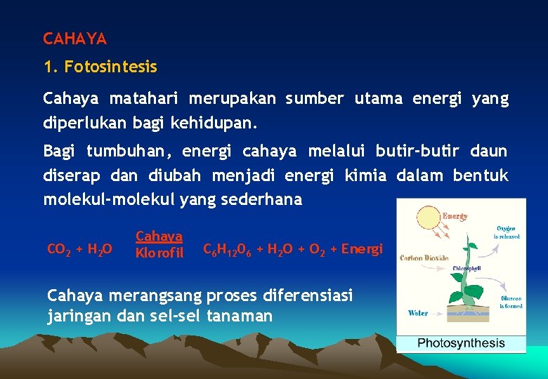 CAHAYA 1. Fotosintesis Cahaya matahari merupakan sumber utama energi yang diperlukan bagi kehidupan. Bagi