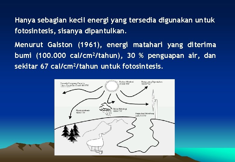 Hanya sebagian kecil energi yang tersedia digunakan untuk fotosintesis, sisanya dipantulkan. Menurut Galston (1961),