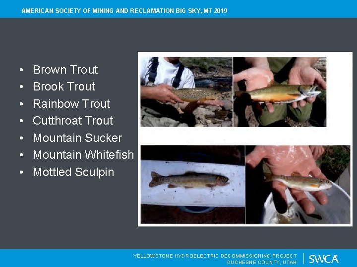 AMERICAN SOCIETY OF MINING AND RECLAMATION BIG SKY, MT 2019 • • Brown Trout