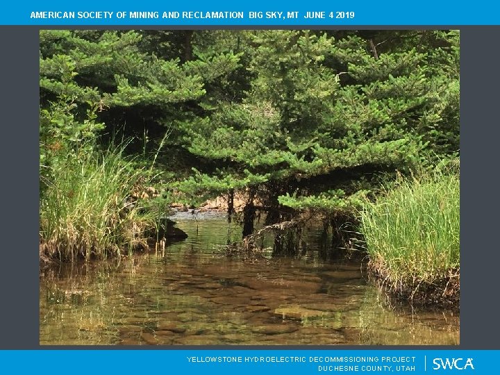 AMERICAN SOCIETY OF MINING AND RECLAMATION BIG SKY, MT JUNE 4 2019 YELLOWSTONE HYDROELECTRIC