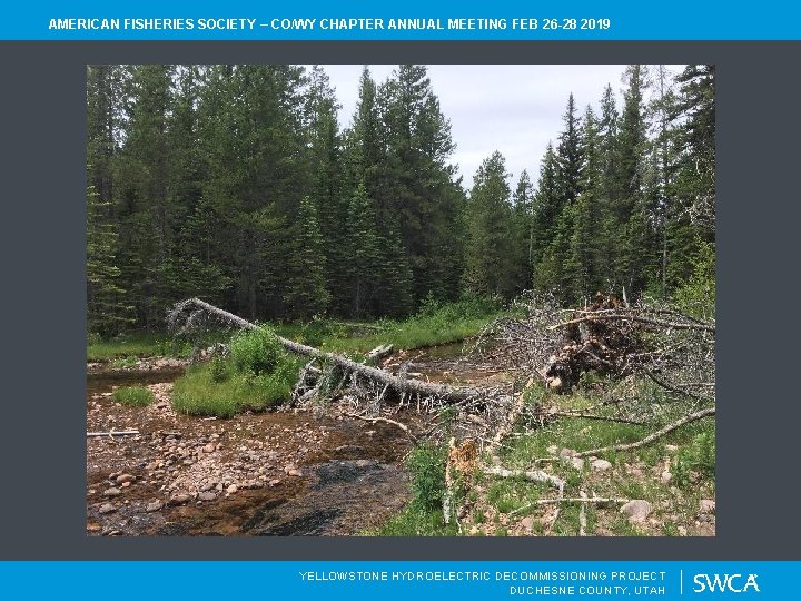 AMERICAN FISHERIES SOCIETY – CO/WY CHAPTER ANNUAL MEETING FEB 26 -28 2019 YELLOWSTONE HYDROELECTRIC