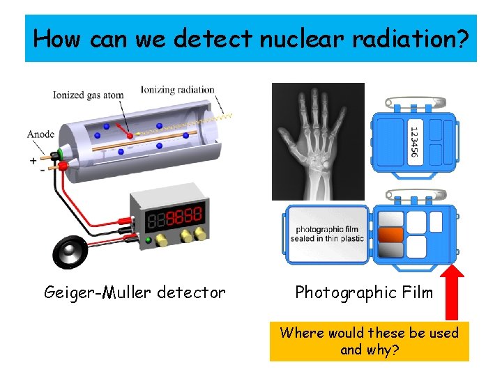 How can we detect nuclear radiation? Geiger-Muller detector Photographic Film Where would these be