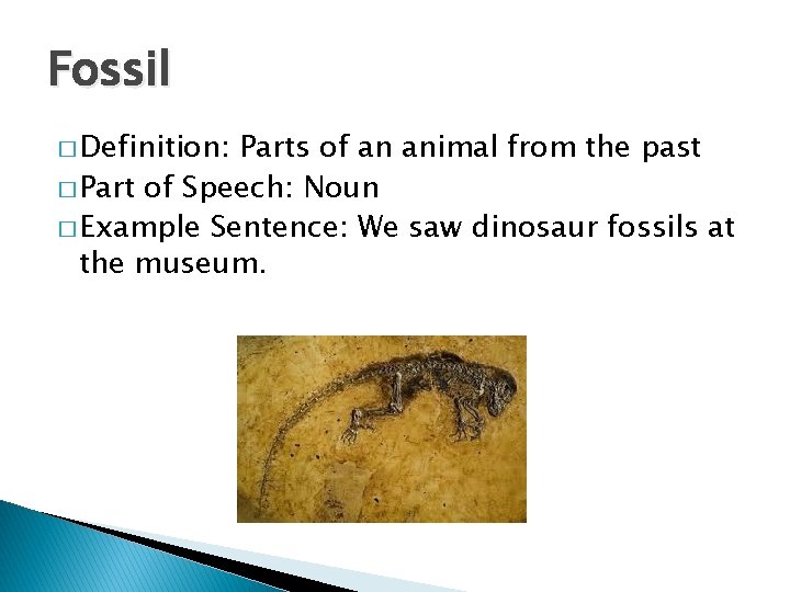 Fossil � Definition: Parts of an animal from the past � Part of Speech: