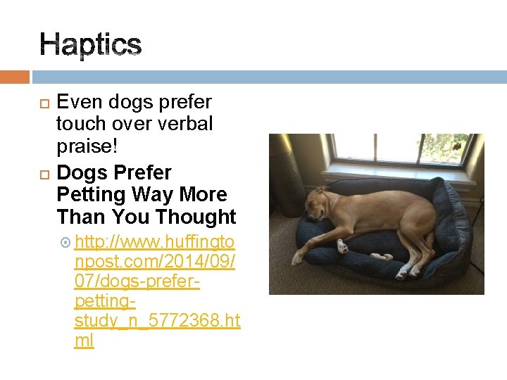  Even dogs prefer touch over verbal praise! Dogs Prefer Petting Way More Than