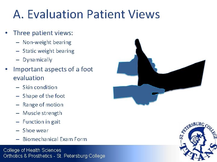 A. Evaluation Patient Views • Three patient views: – Non-weight bearing – Static weight