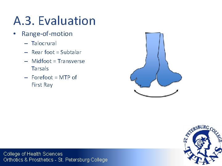 A. 3. Evaluation • Range-of-motion – Talocrural – Rear foot = Subtalar – Midfoot