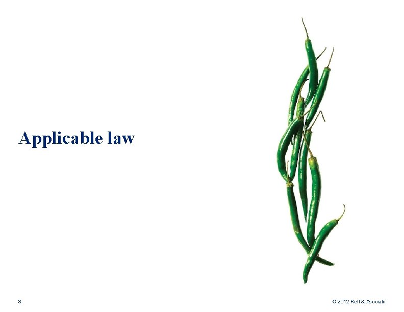 Applicable law 8 © 2012 Reff & Asociatii 