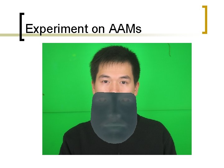 Experiment on AAMs 