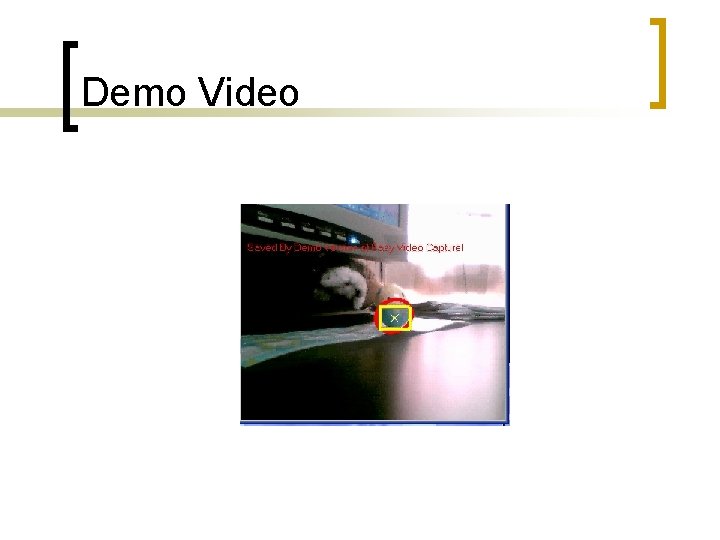 Demo Video 