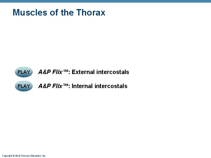 Muscles of the Thorax PLAY A&P Flix™: External intercostals PLAY A&P Flix™: Internal intercostals