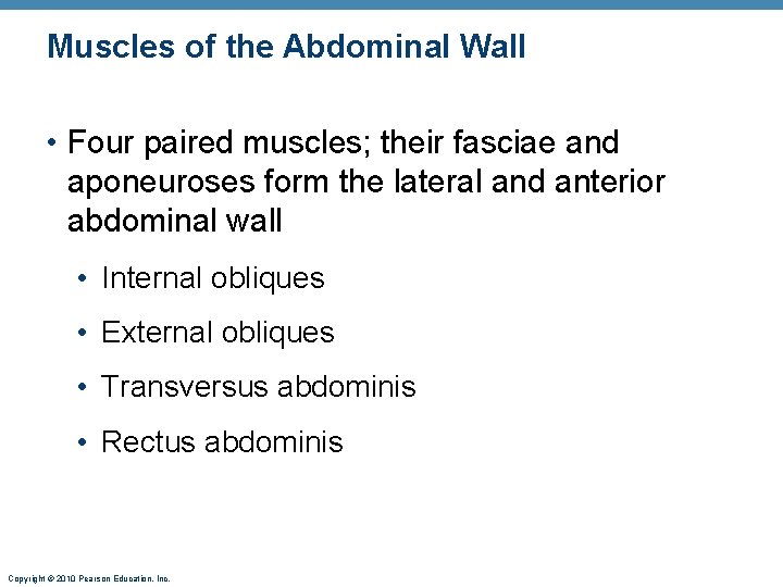 Muscles of the Abdominal Wall • Four paired muscles; their fasciae and aponeuroses form