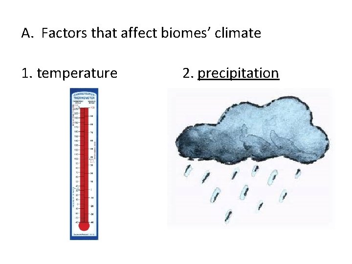 A. Factors that affect biomes’ climate 1. temperature 2. precipitation 