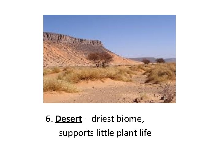 6. Desert – driest biome, supports little plant life 
