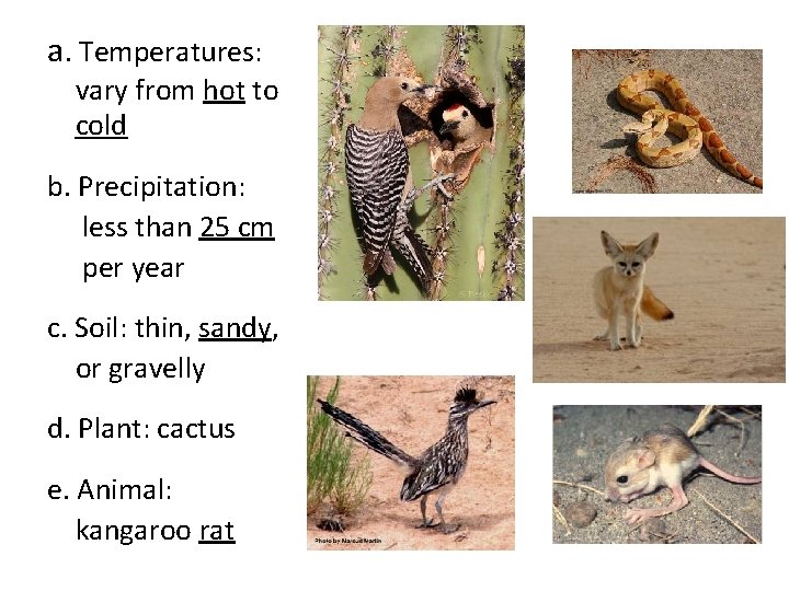 a. Temperatures: vary from hot to cold b. Precipitation: less than 25 cm per