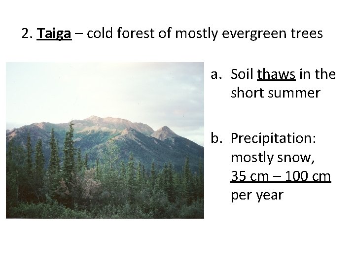 2. Taiga – cold forest of mostly evergreen trees a. Soil thaws in the