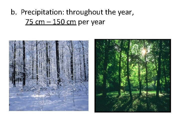 b. Precipitation: throughout the year, 75 cm – 150 cm per year 