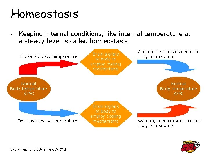 Homeostasis • Keeping internal conditions, like internal temperature at a steady level is called