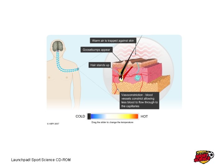 Launchpad! Sport Science CD-ROM 