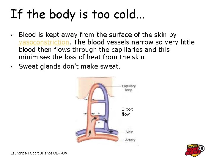 If the body is too cold. . . Blood is kept away from the