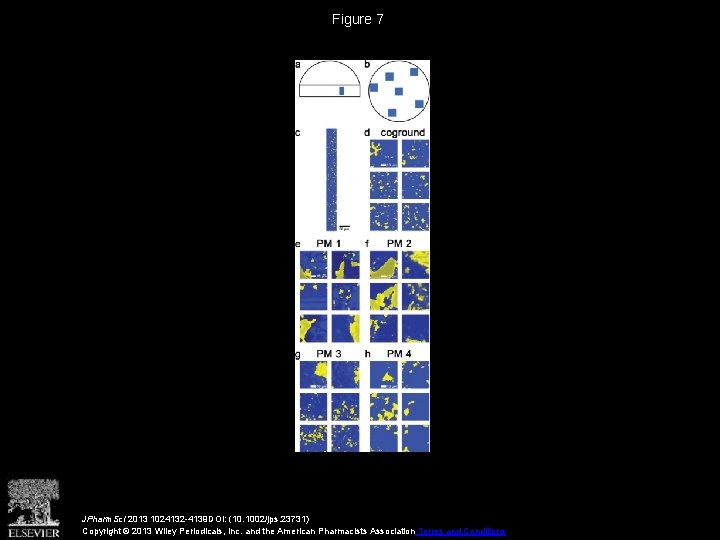 Figure 7 JPharm. Sci 2013 1024132 -4139 DOI: (10. 1002/jps. 23731) Copyright © 2013