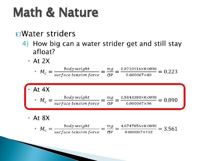 Math & Nature � 