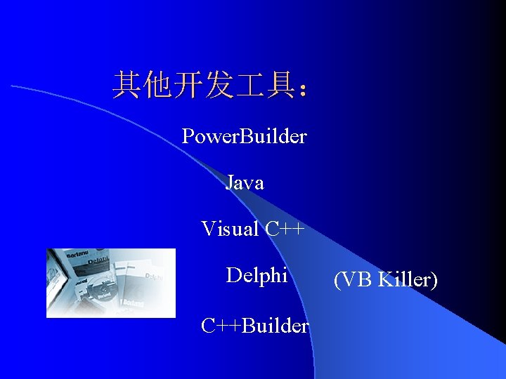 其他开发 具： Power. Builder Java Visual C++ Delphi C++Builder (VB Killer) 
