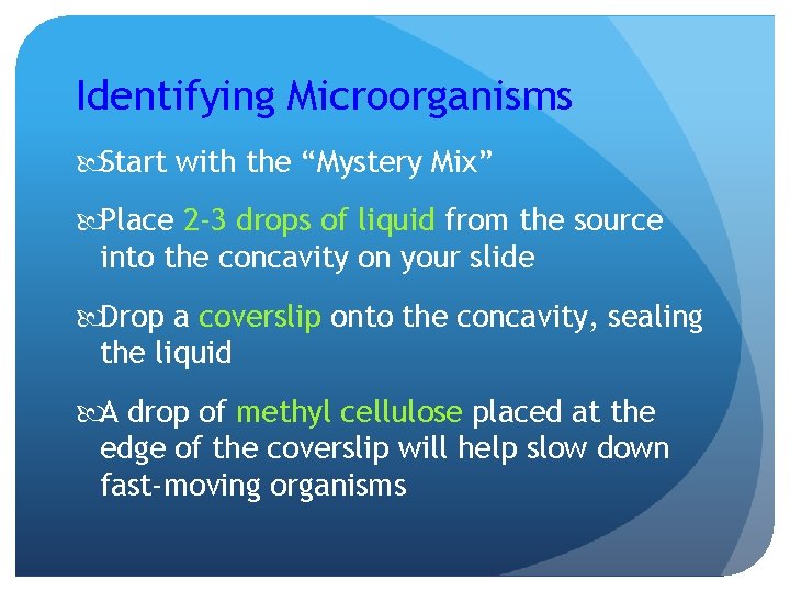 Identifying Microorganisms Start with the “Mystery Mix” Place 2 -3 drops of liquid from