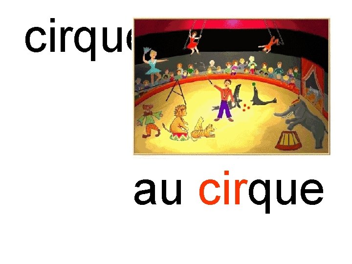 cirque au cirque 