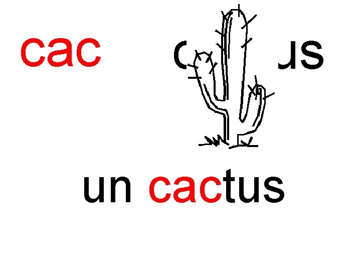 cac cactus un cactus 