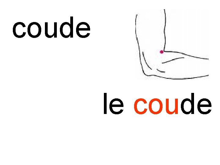 coude le coude 