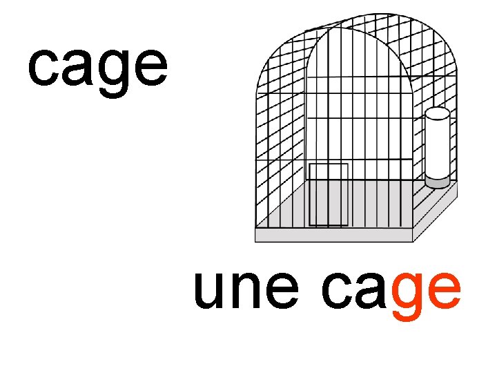 cage une cage 