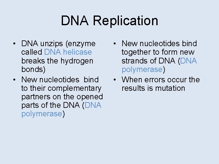 DNA Replication • DNA unzips (enzyme called DNA helicase breaks the hydrogen bonds) •