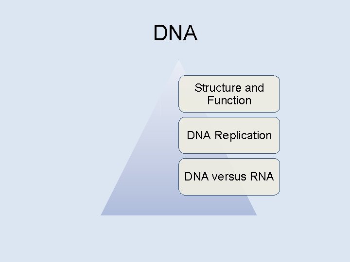 DNA Structure and Function DNA Replication DNA versus RNA 