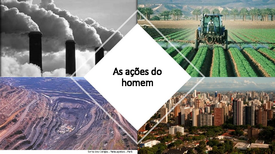 Biodiversidade 6 ano Educao Ambiental Aula 2 ODS