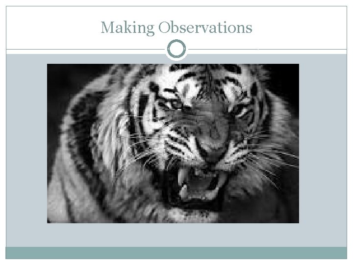 Making Observations 