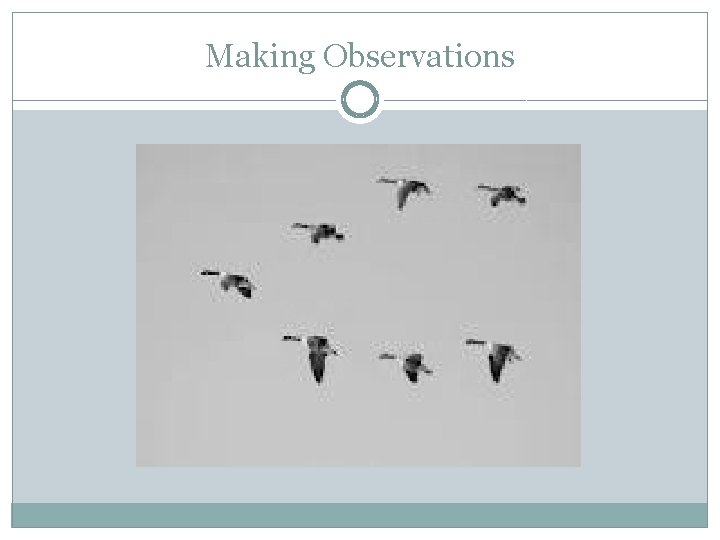 Making Observations 